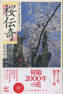 桜伝奇　日本人の心と桜の老巨木めぐり［image1］