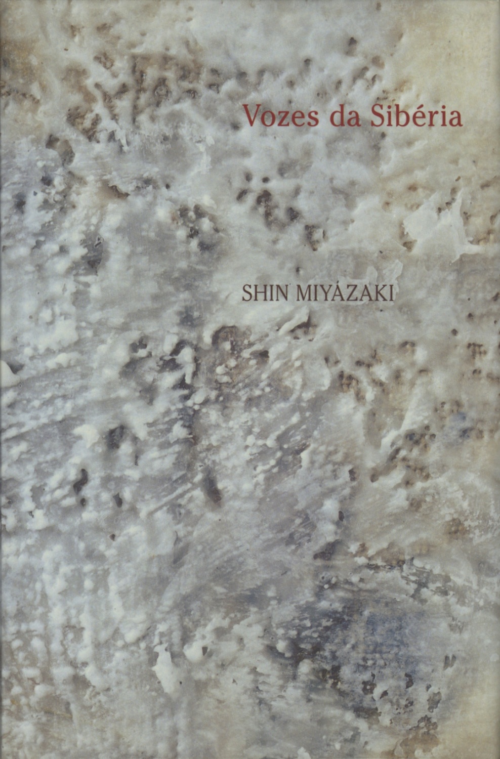Vozes da Sibéria / Voice of Shiberia　SHIN MIYAZAKI／XXVI Bienal Internacional de Sao Paulo 2004 Japao