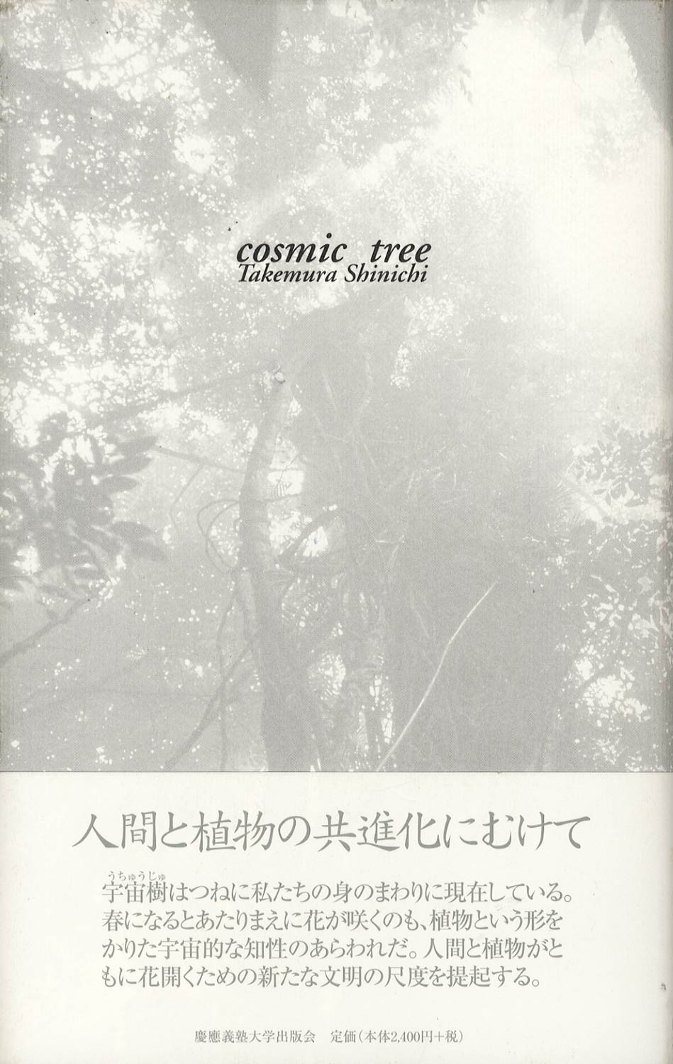 宇宙樹　cosmic tree［image1］