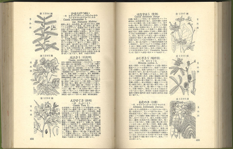 牧野新日本植物図鑑