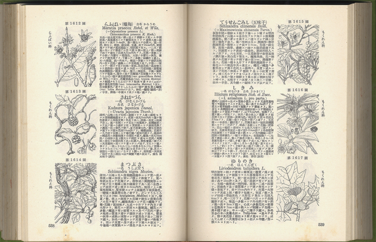 大人の上質 牧野新日本植物図鑑 昭和57年 ノンフィクション・教養 