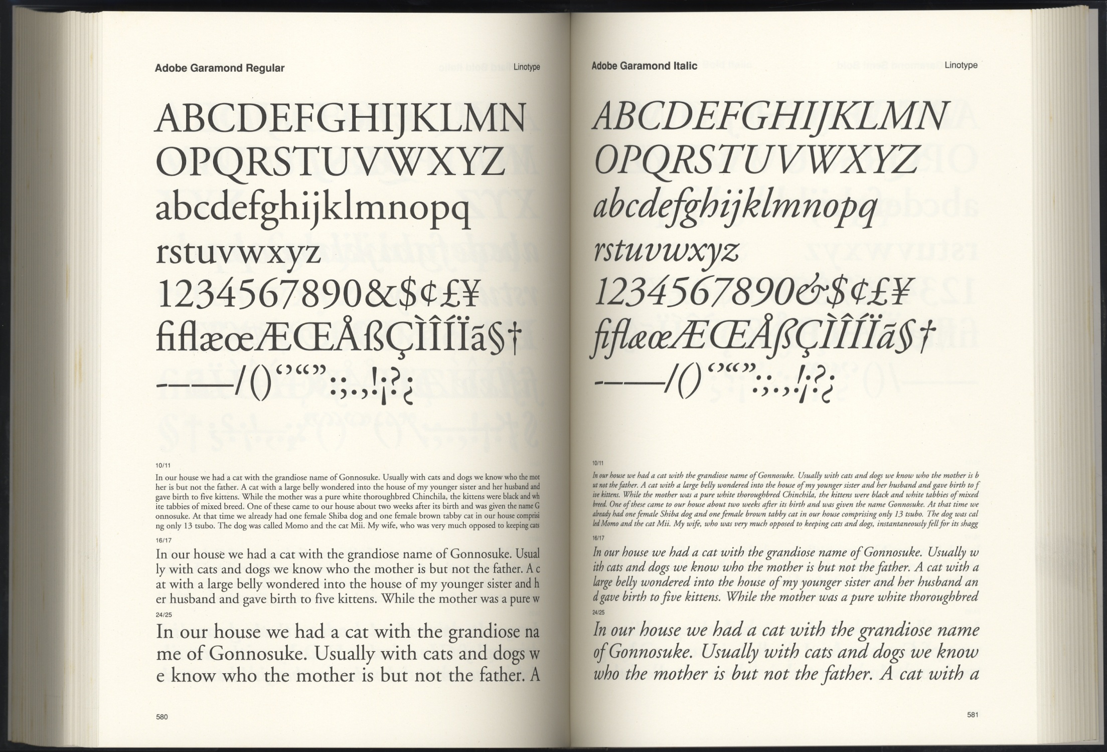 Type Cosmique ― Digital Type Collection　1: Serif / 2: San Serif（全2冊）［image4］